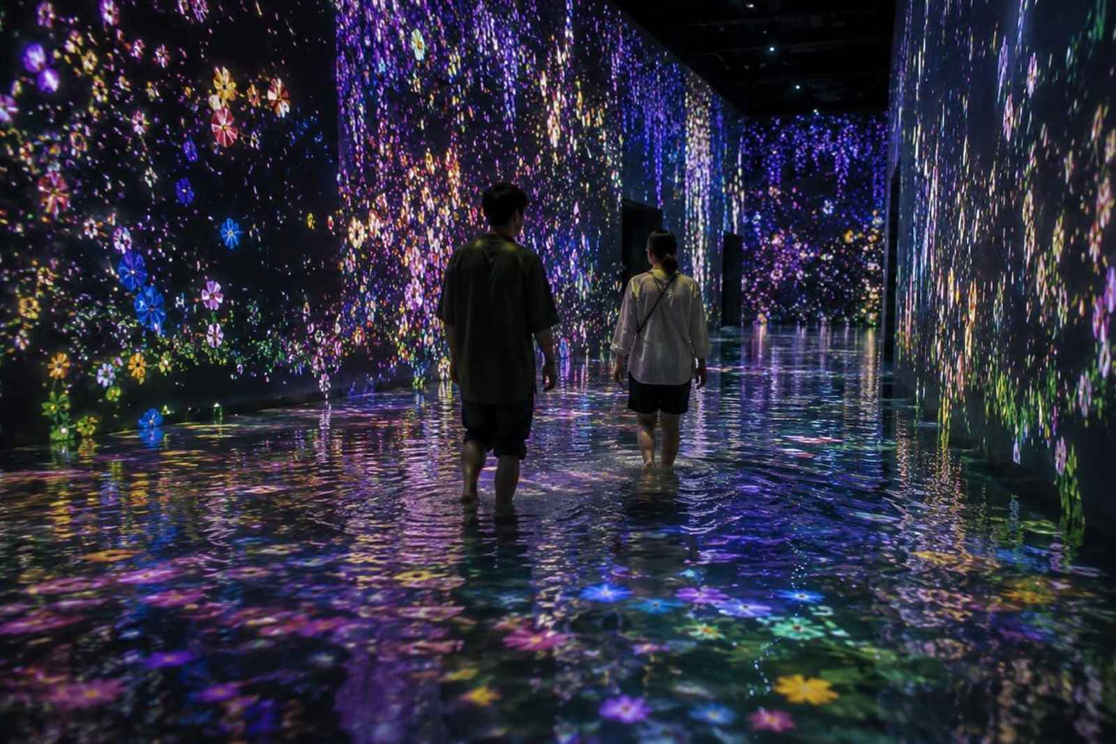 teamLab Planets and Halal-Friendly Food Private Tour, Toyosu