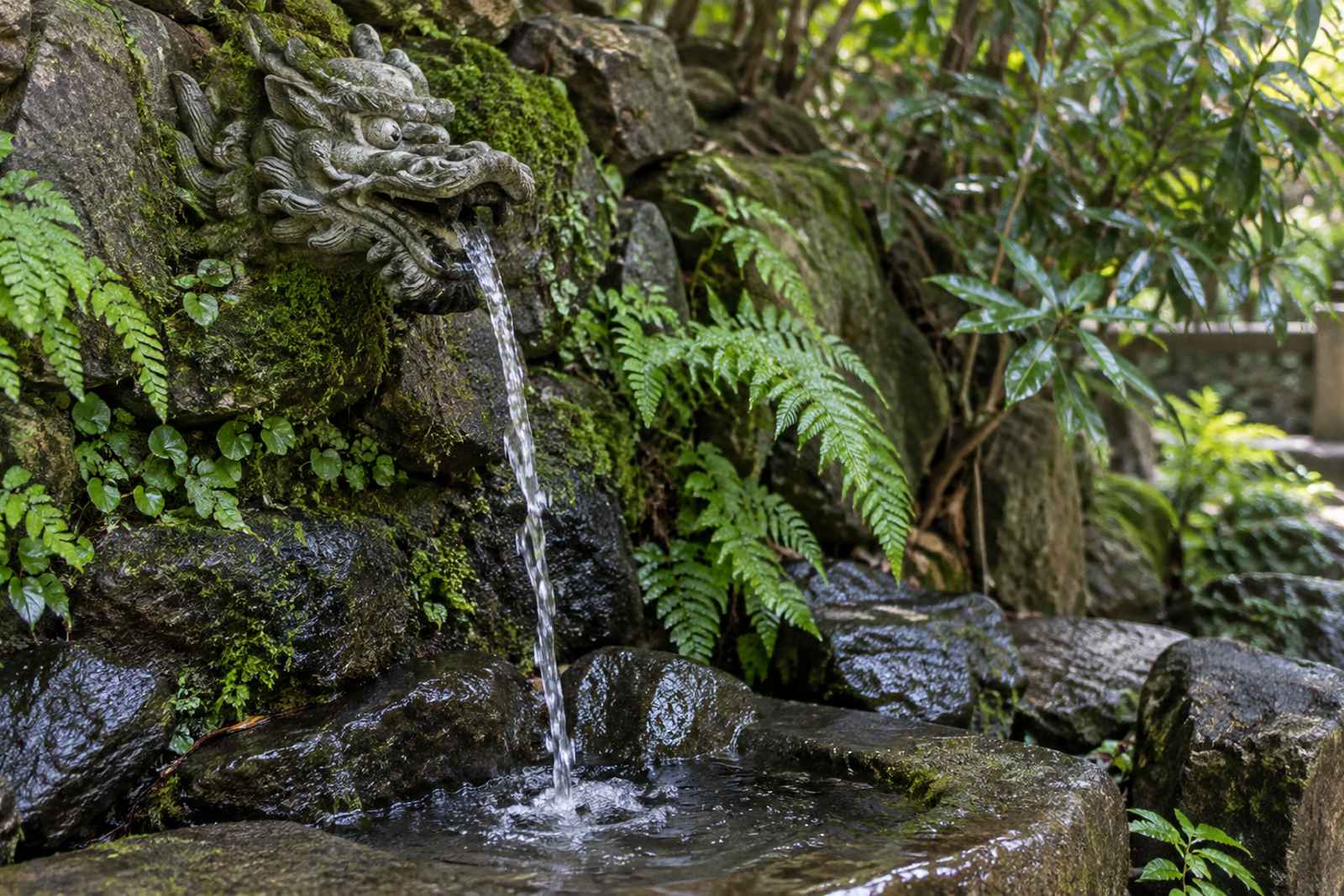 Todoroki Valley & Farmhouses - Private Tokyo Tour 3