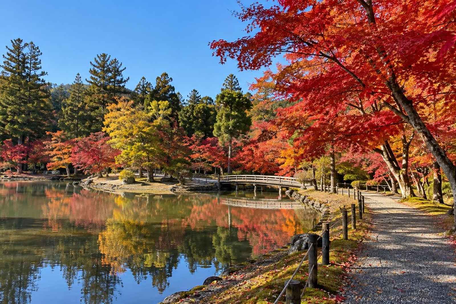 From Tokyo: 2-Day Hiraizumi UNESCO Customizable Tour 4
