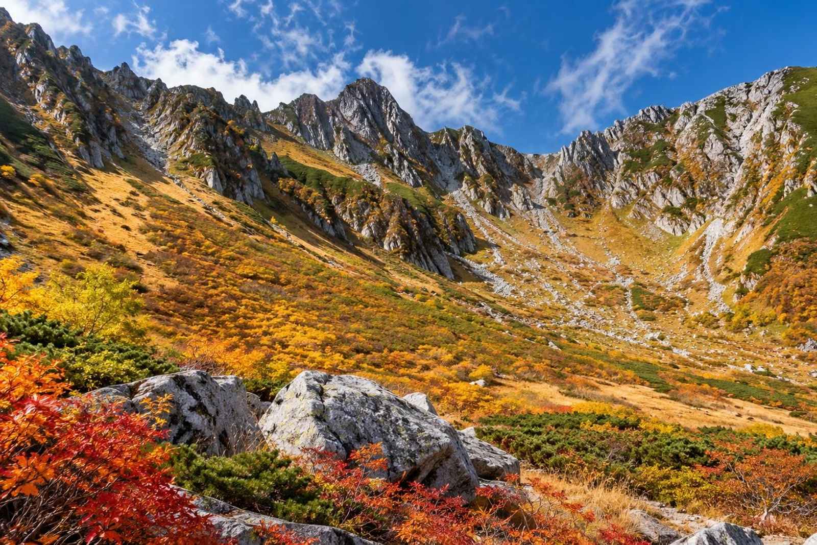 From Tokyo: 2-Day Mars Shinshu Whisky Customizable Tour 2