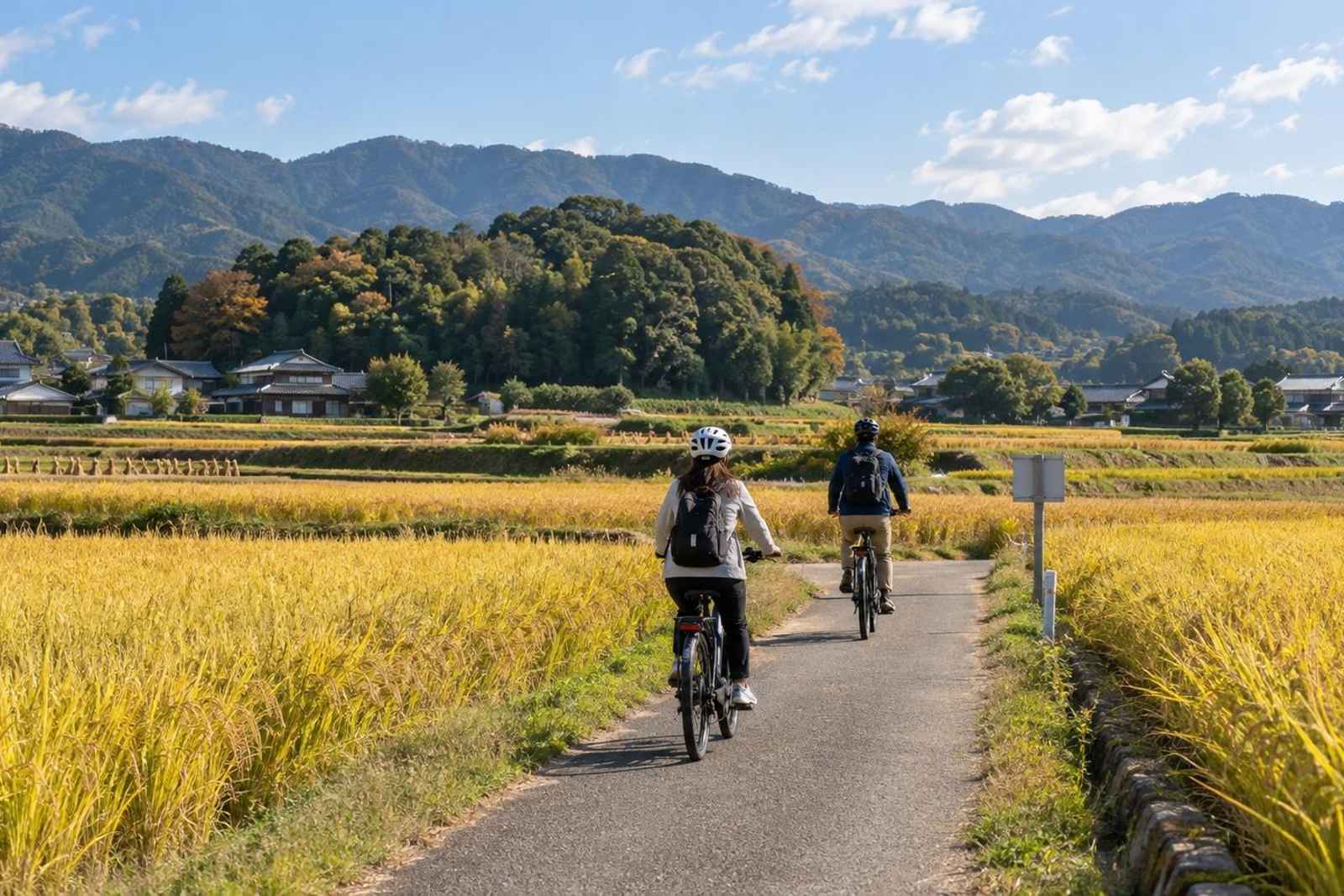 From Tokyo: 3-Day Asuka E-Bike & Tombs Customizable Tour 5