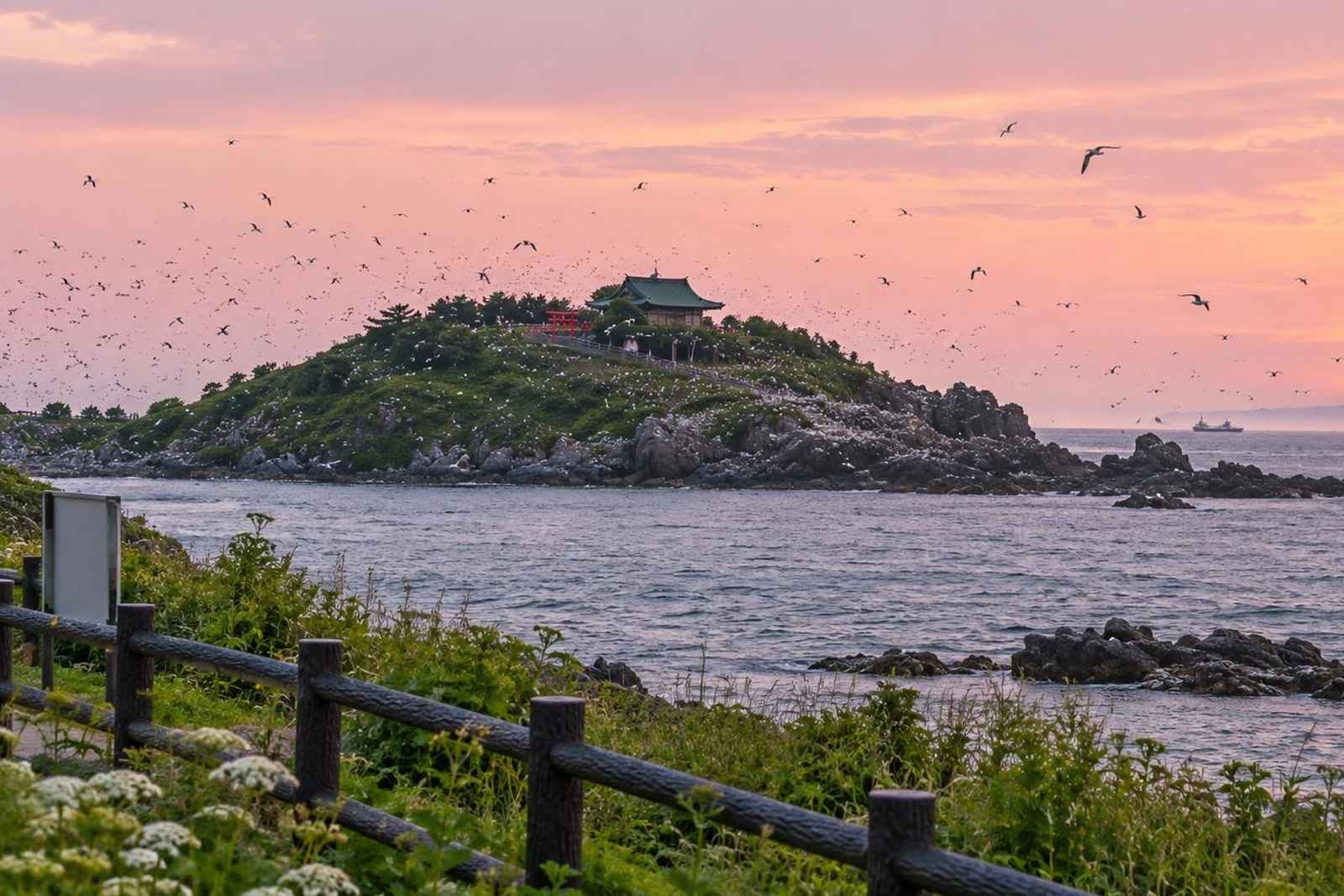 From Tokyo: 3-Day Hachinohe Market Customizable Tour 4