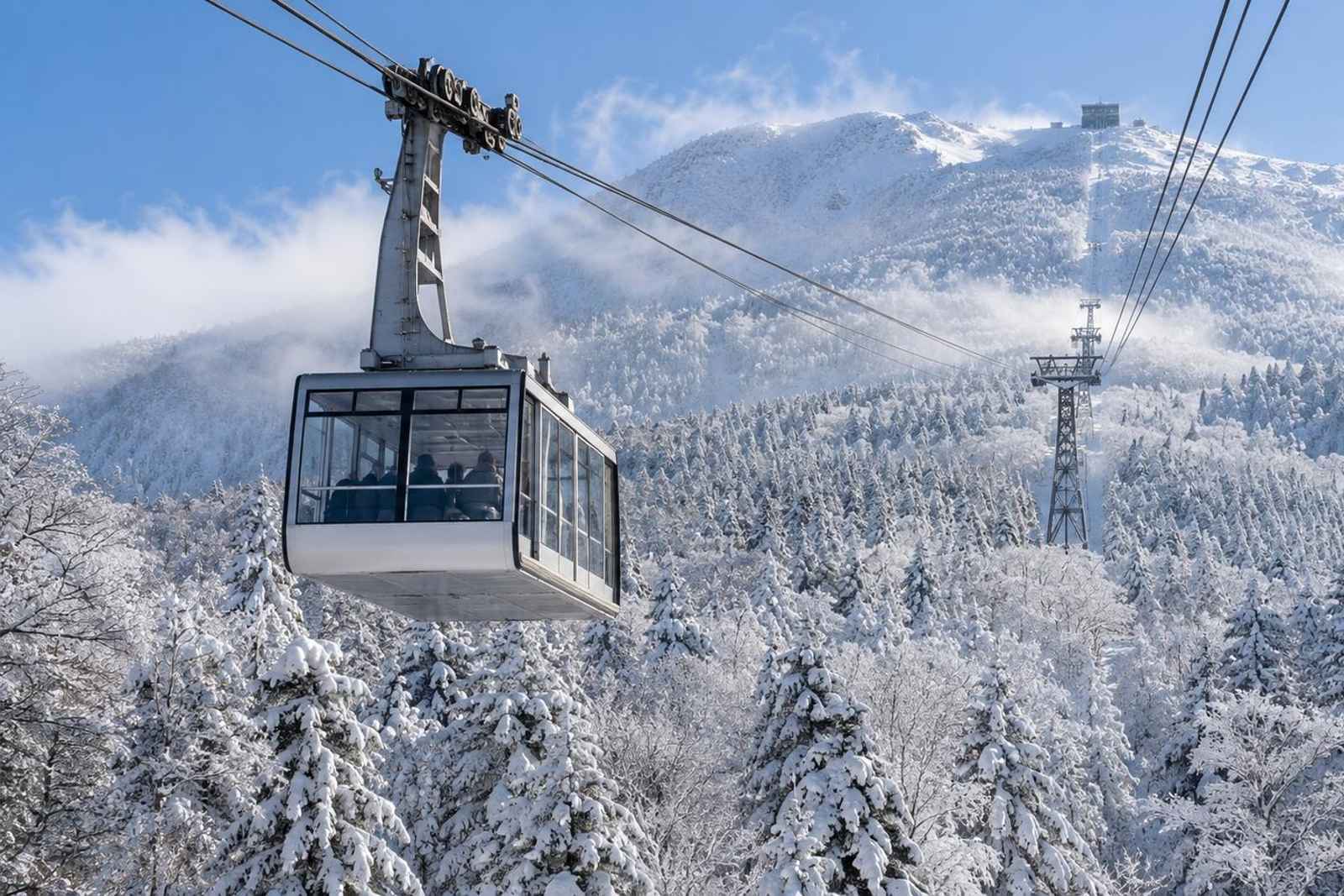 From Tokyo: 3-Day Hakkoda Snow Monsters Customizable Tour 3