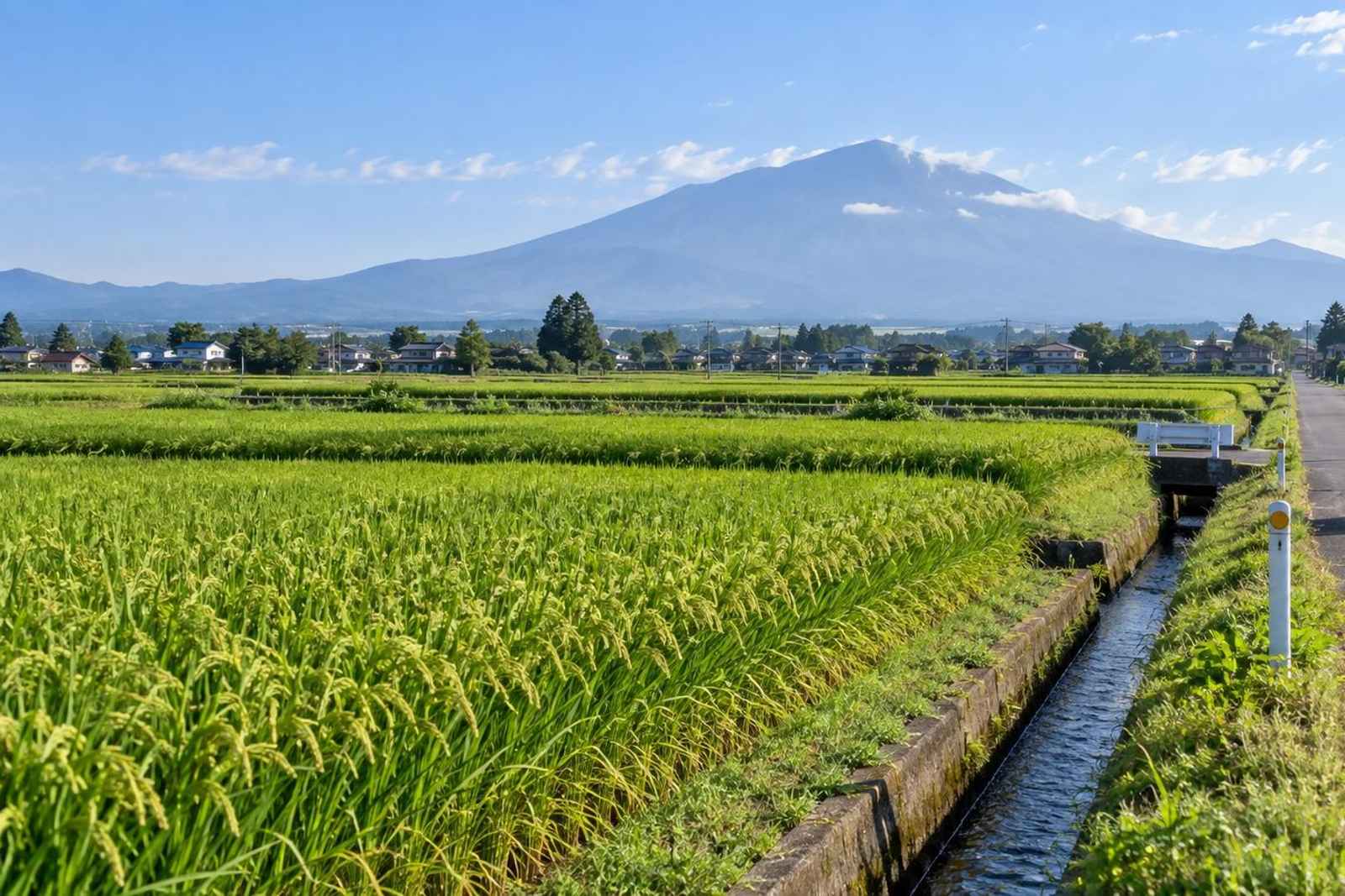From Tokyo: 3-Day Inakadate Rice Art Customizable Tour 2