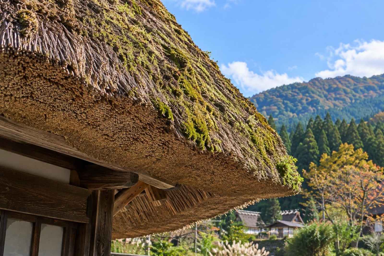 From Tokyo: 3-Day Ine & Amanohashidate Customizable Tour 2