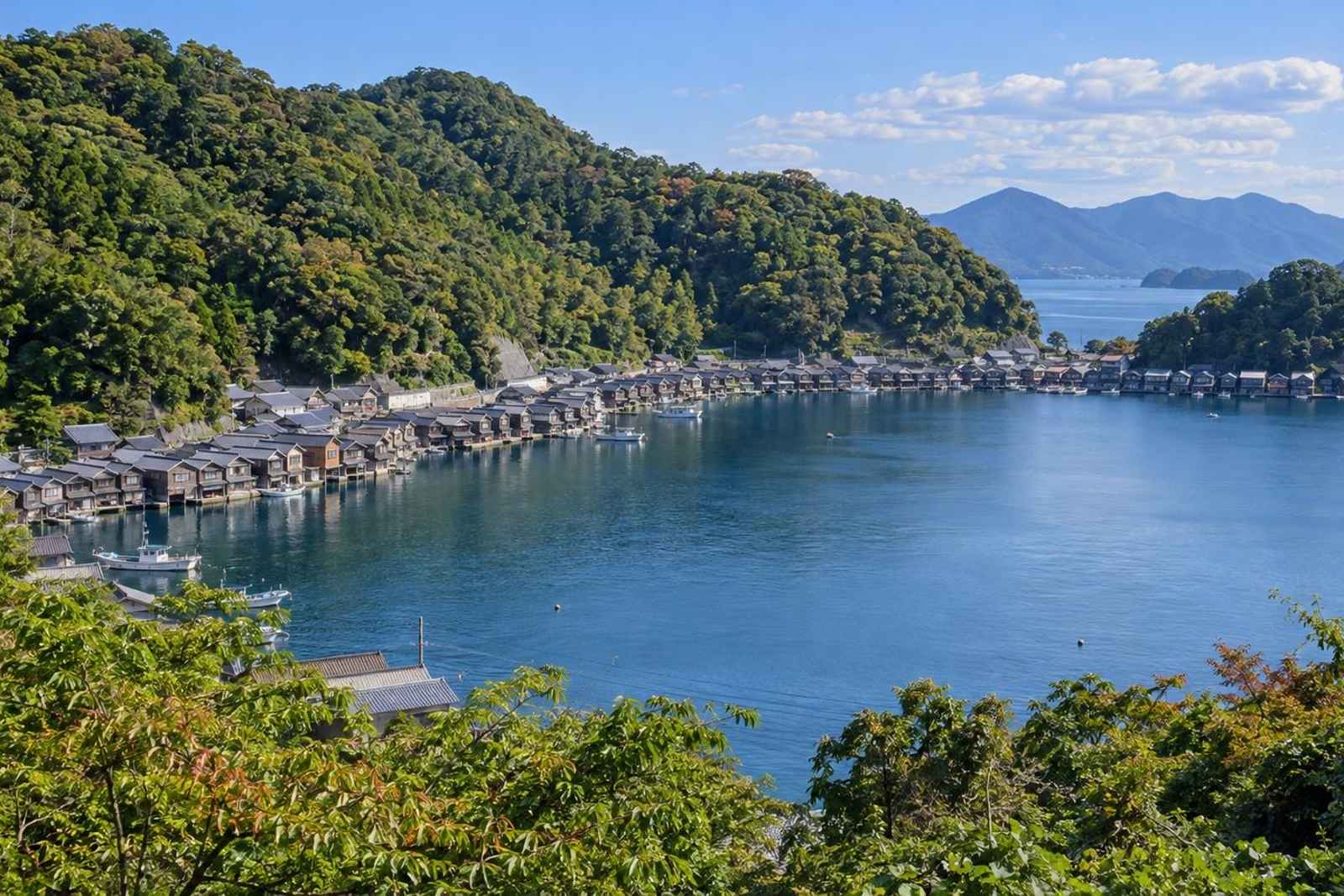 From Tokyo: 3-Day Ine & Amanohashidate Customizable Tour 3