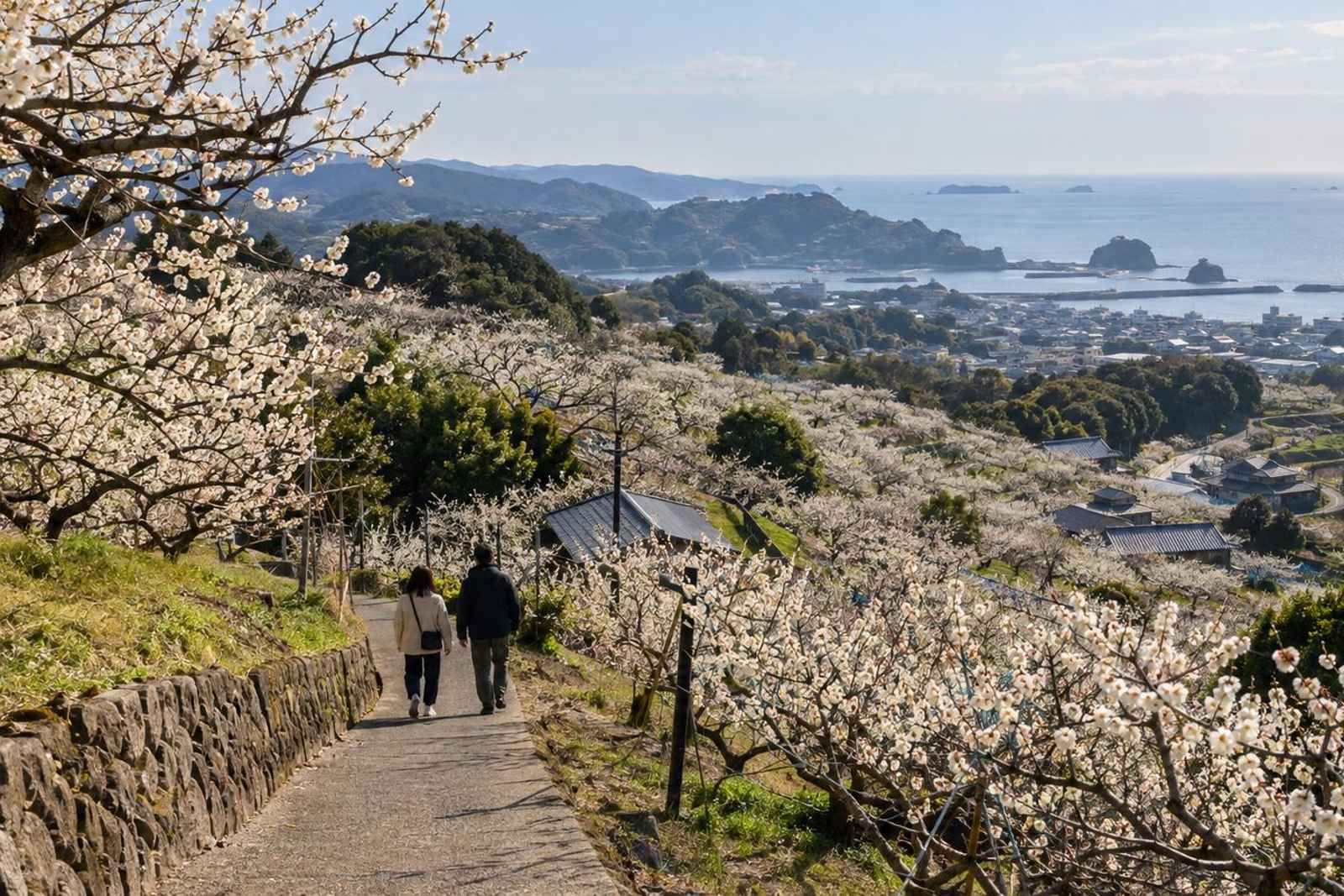 From Tokyo: 3-Day Kishu Ume & Shirahama Customizable Tour
