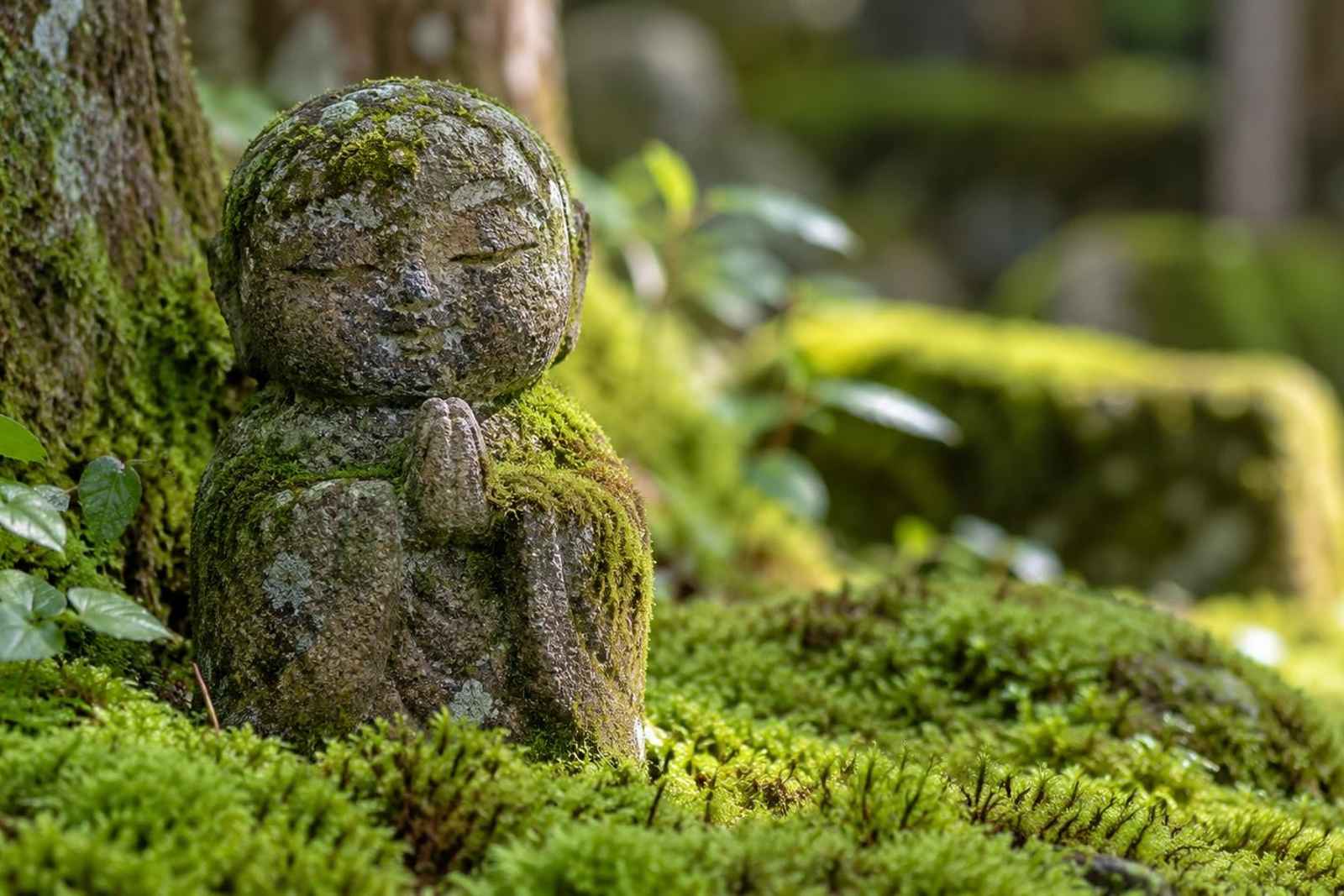 From Tokyo: 3-Day Kurama to Ohara Hike Customizable Tour 3