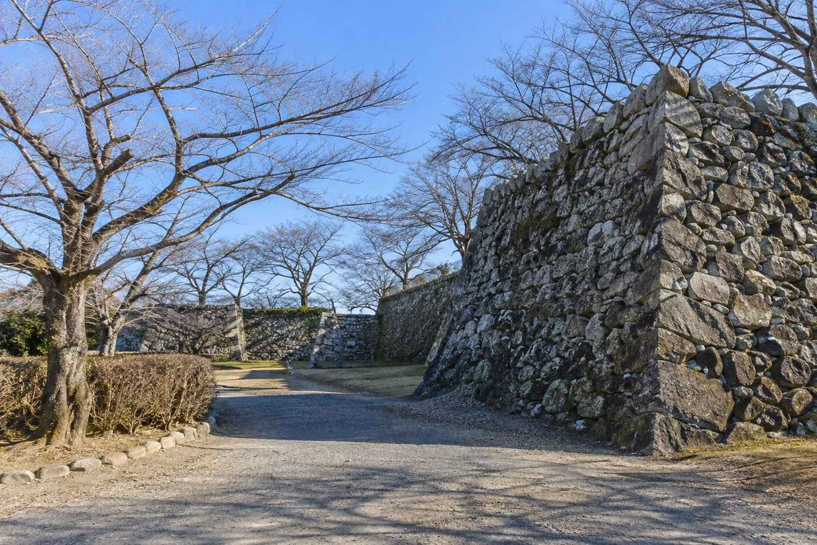 From Tokyo: 3-Day Matsusaka & Toba Customizable Tour 5