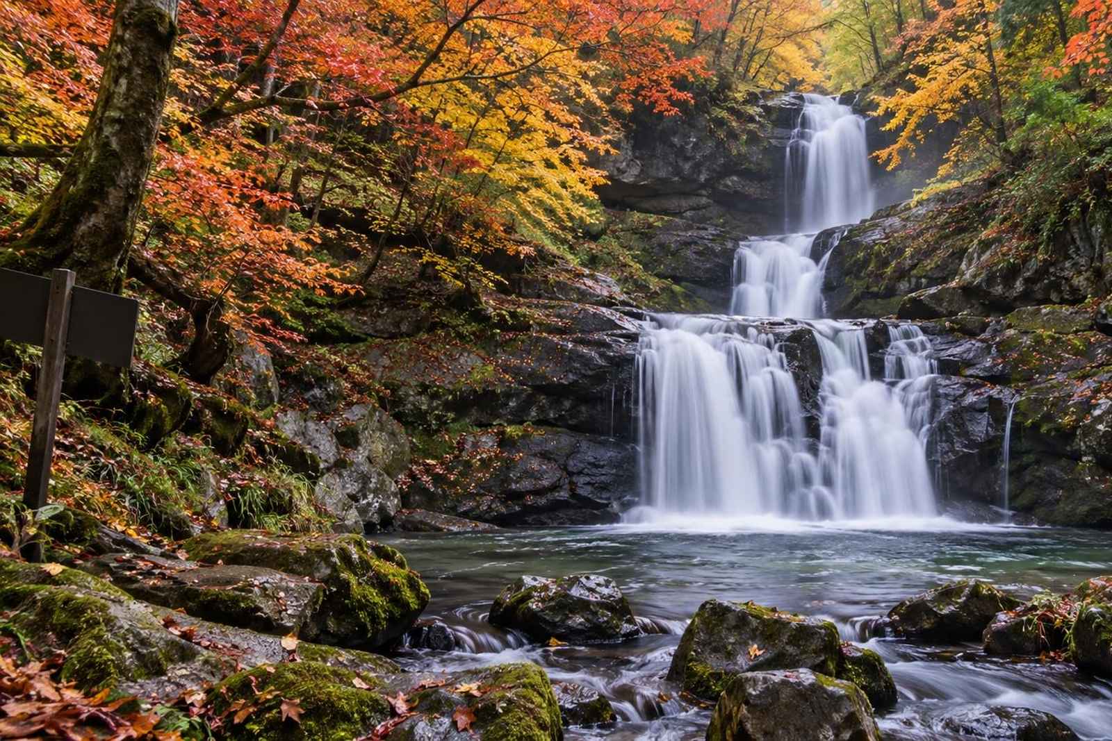 From Tokyo: 3-Day Shirakami Beech Forest Customizable Tour 2