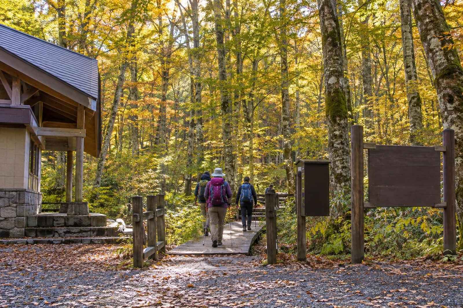 From Tokyo: 3-Day Shirakami Beech Forest Customizable Tour 3