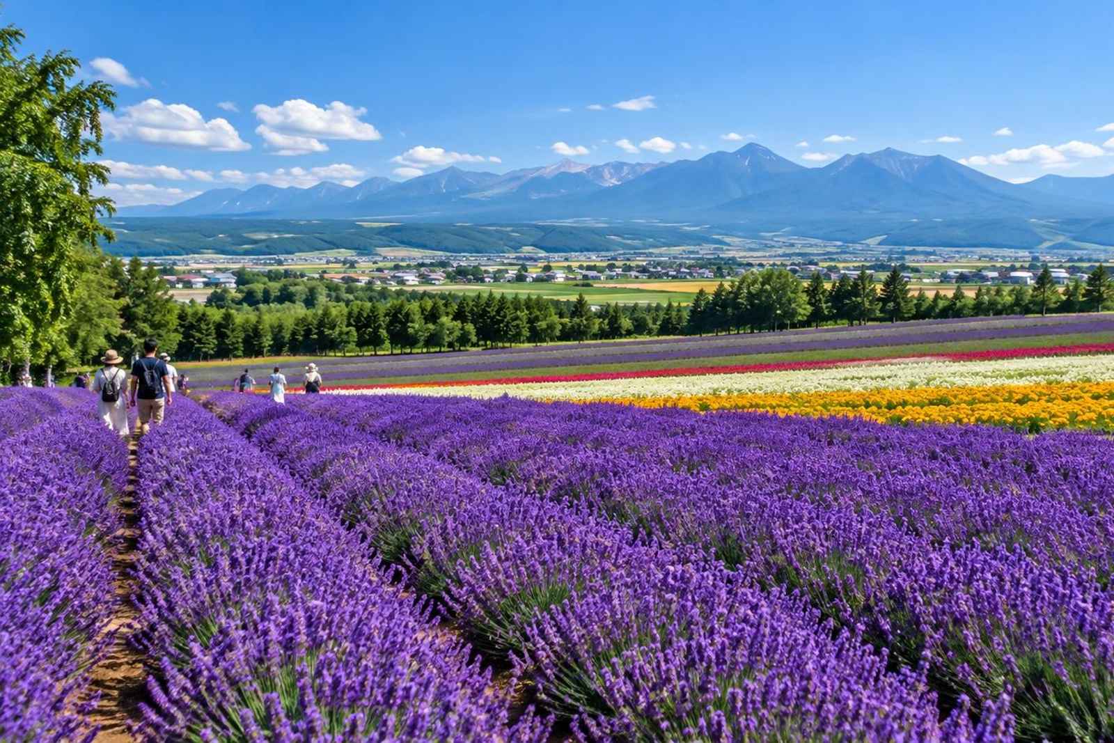 From Tokyo: 5-Day Furano Lavender Customizable Tour