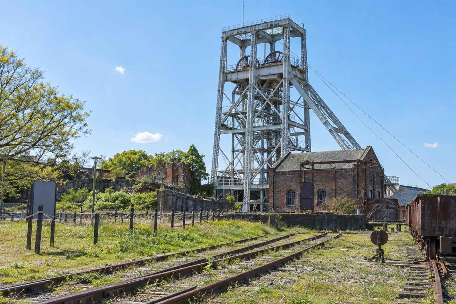 From Tokyo: 5-Day Kyushu Meiji Heritage Customizable Tour 4