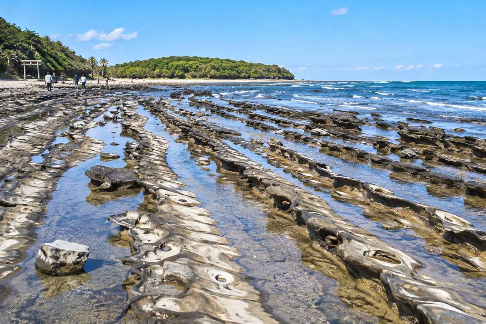 From Tokyo: 5-Day Nichinan Coast Customizable Tour 2