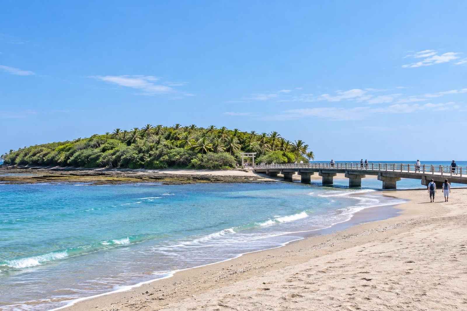 From Tokyo: 5-Day Nichinan Coast Customizable Tour 3