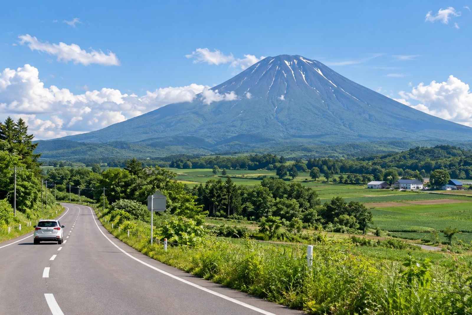 From Tokyo: 5-Day Otaru & Shakotan Customizable Tour 2