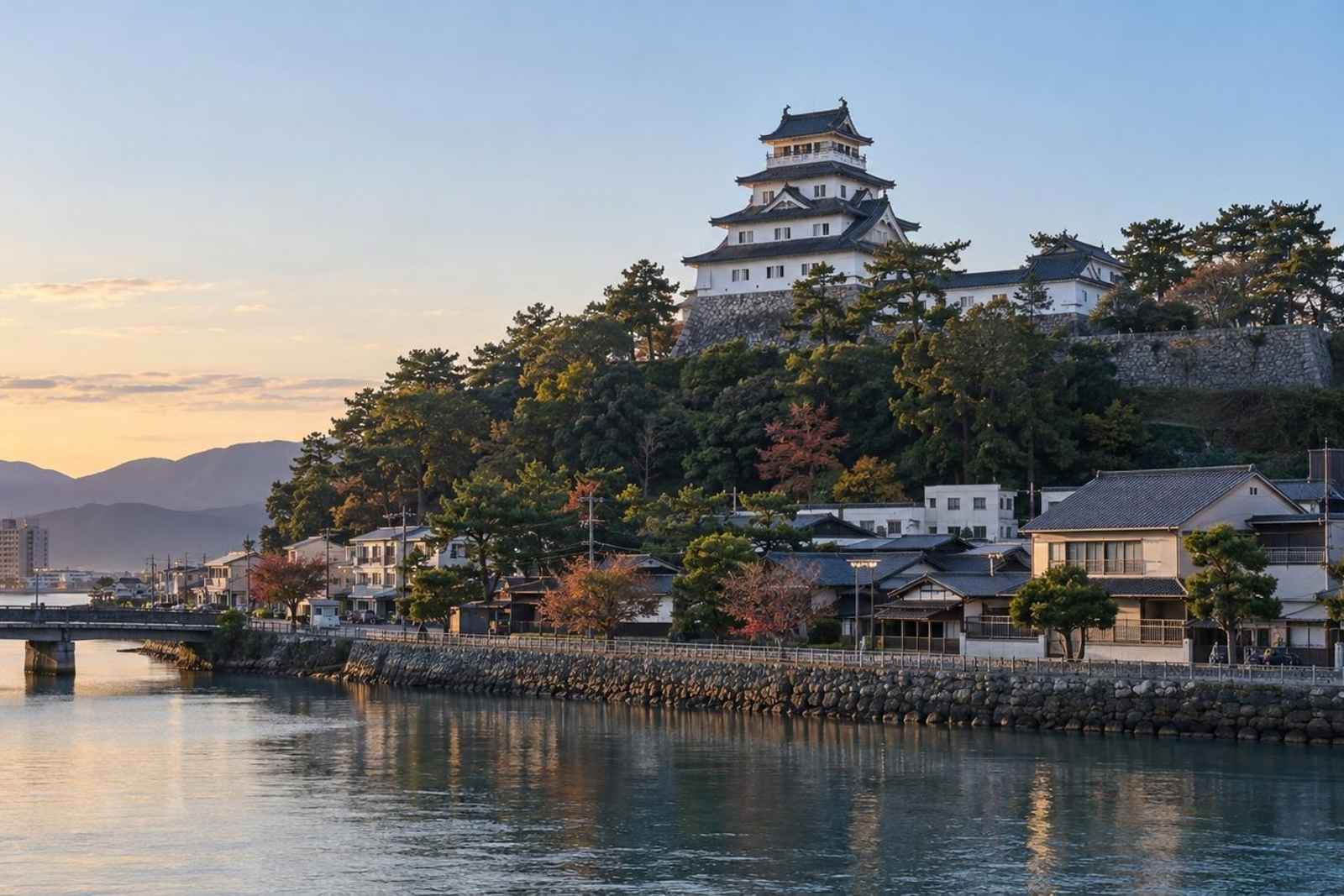 From Tokyo: 5-Day Saga Balloon Fiesta Customizable Tour 3
