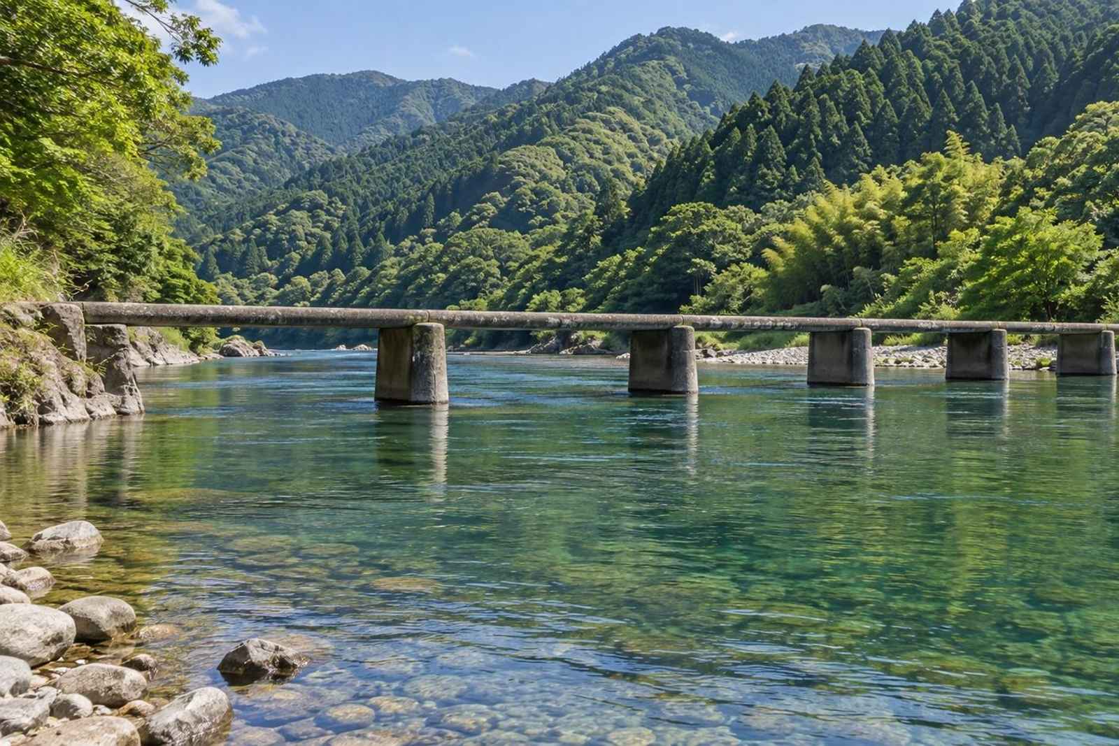 From Tokyo: 5-Day Shimanto River Canoe Customizable Tour 4