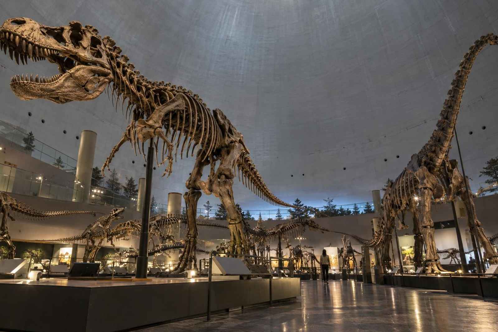 From Tokyo: 3-Day Fukui Dinosaurs Customizable Tour