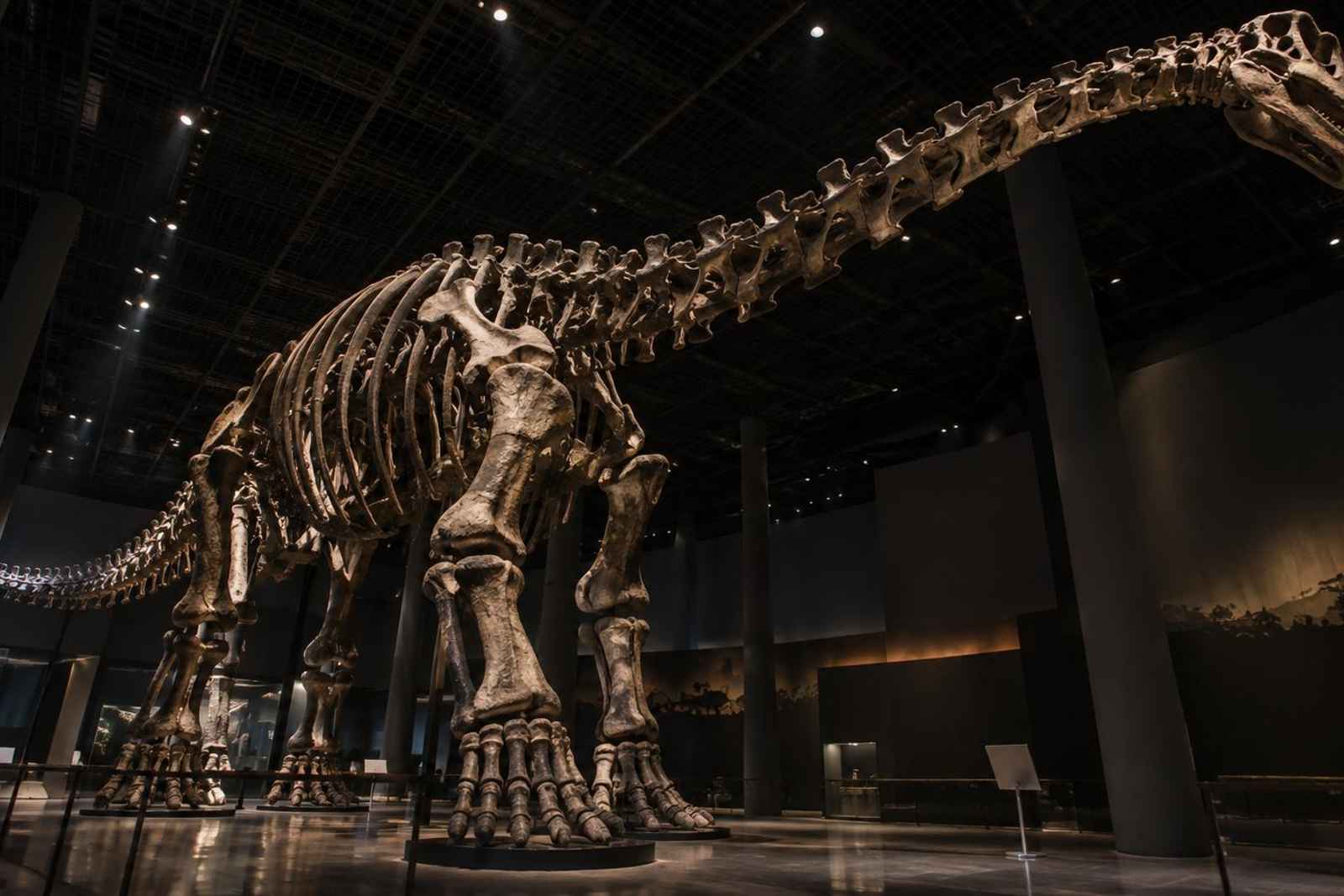 From Tokyo: 3-Day Fukui Dinosaurs Customizable Tour 2