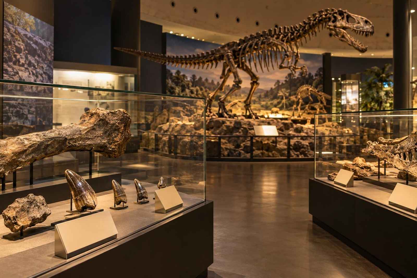 From Tokyo: 3-Day Fukui Dinosaurs Customizable Tour 4
