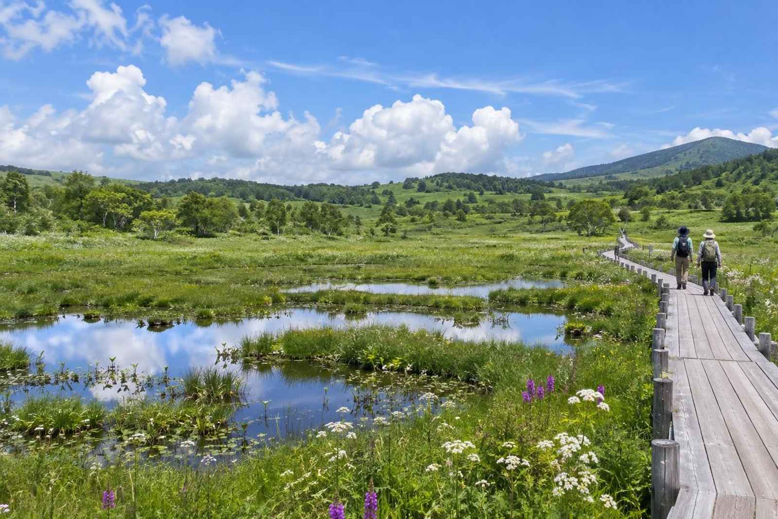From Tokyo: Kirigamine Plateau Walk Customizable Tour 4