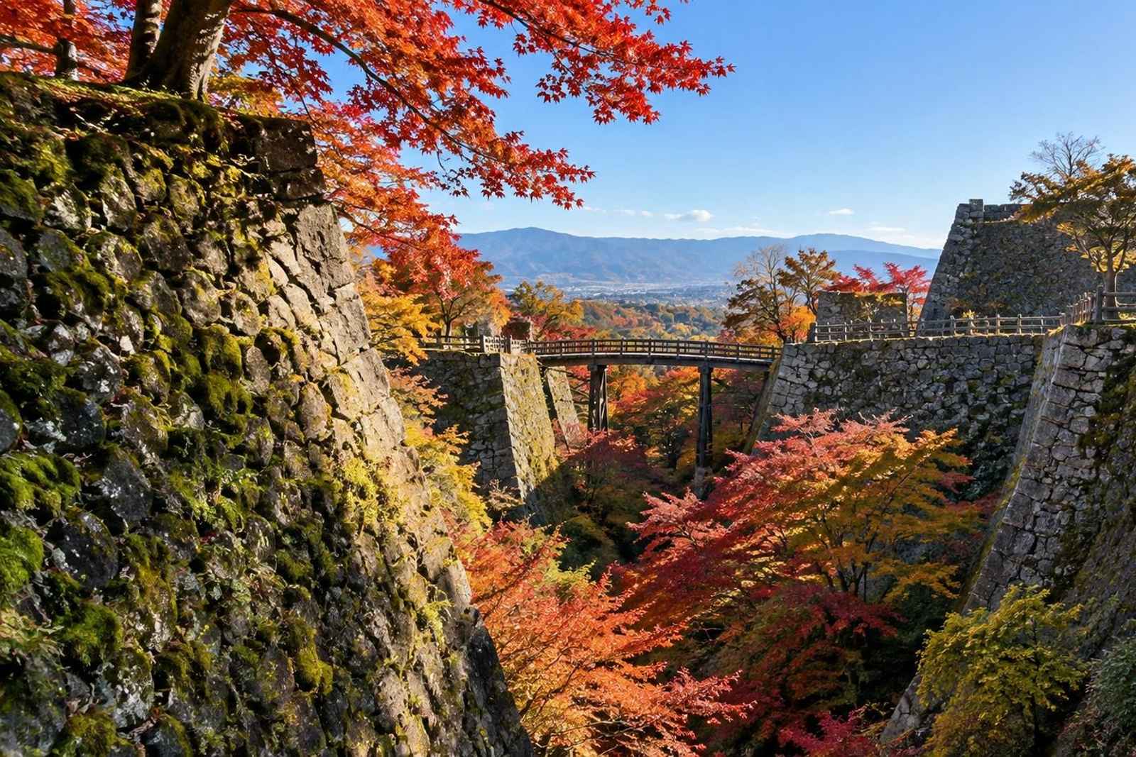 From Tokyo: Komoro Castle & Vineyards Customizable Tour 2
