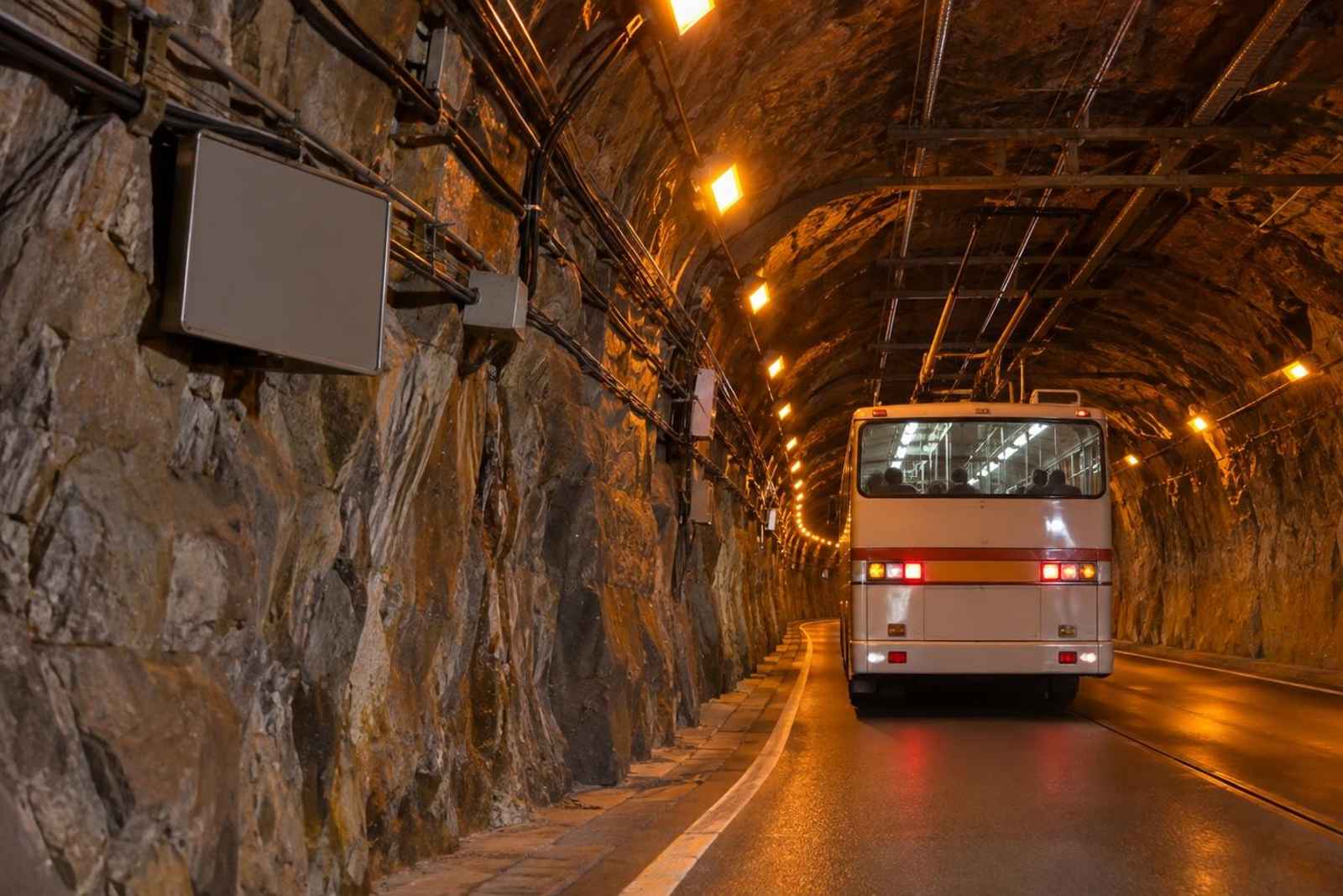 From Tokyo: 2-Day Kurobe Dam Customizable Tour 2