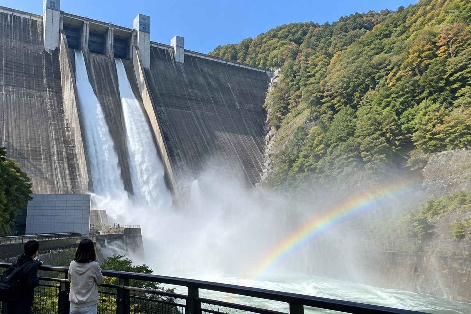 From Tokyo: Miyagase Lake & Tanzawa Customizable Tour 2