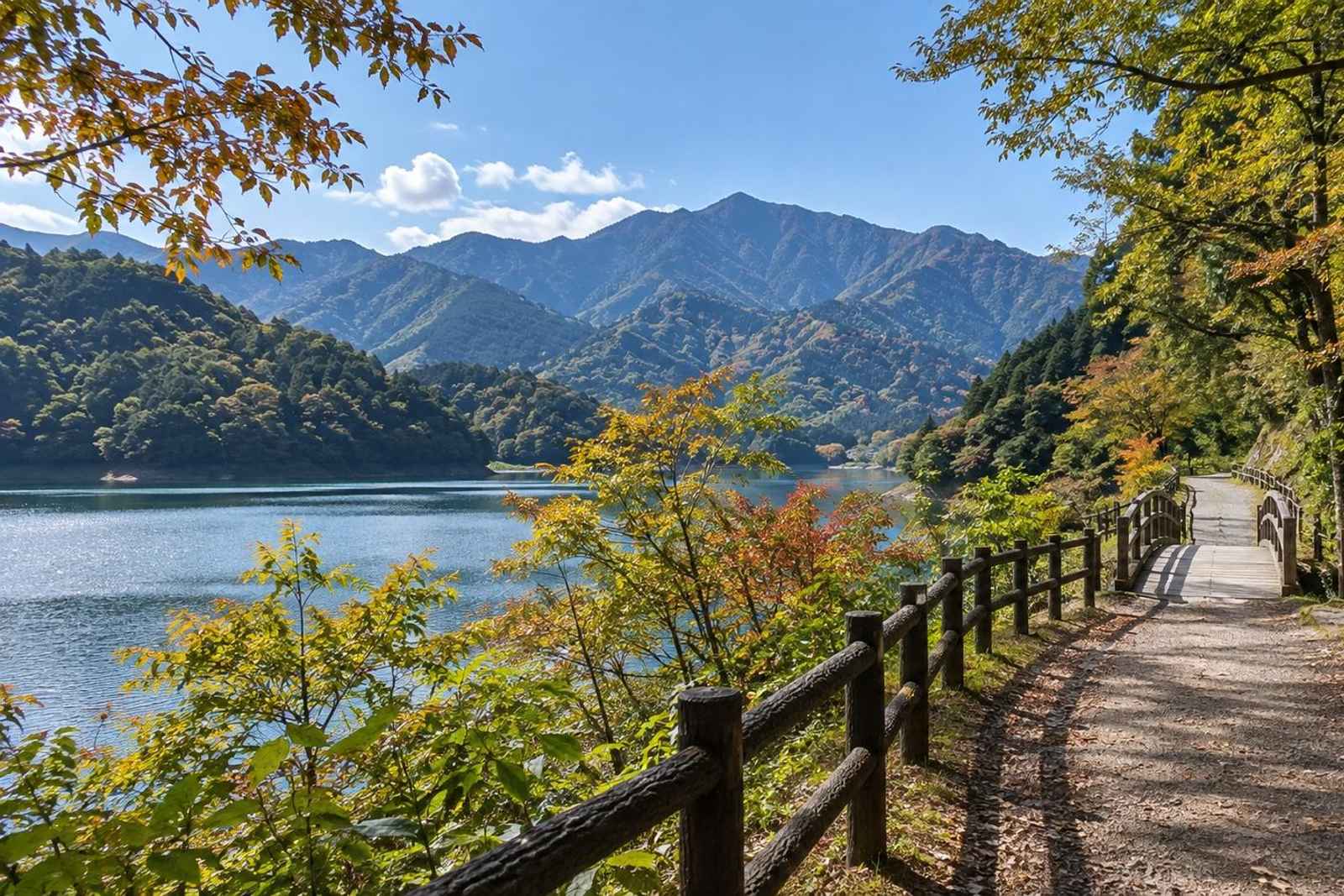From Tokyo: Miyagase Lake & Tanzawa Customizable Tour 5