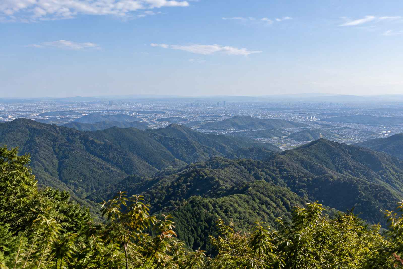 From Tokyo: Mt Takao & Sagami Lake Flexible Itinerary Tour 3