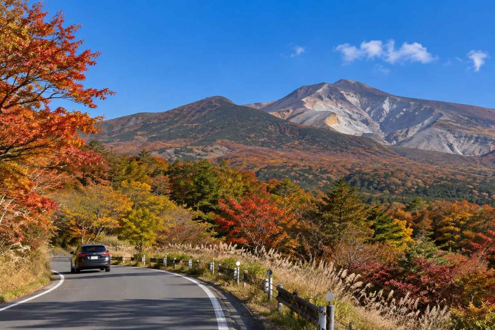 From Tokyo: Nihonmatsu & Mt Adatara Customizable Tour