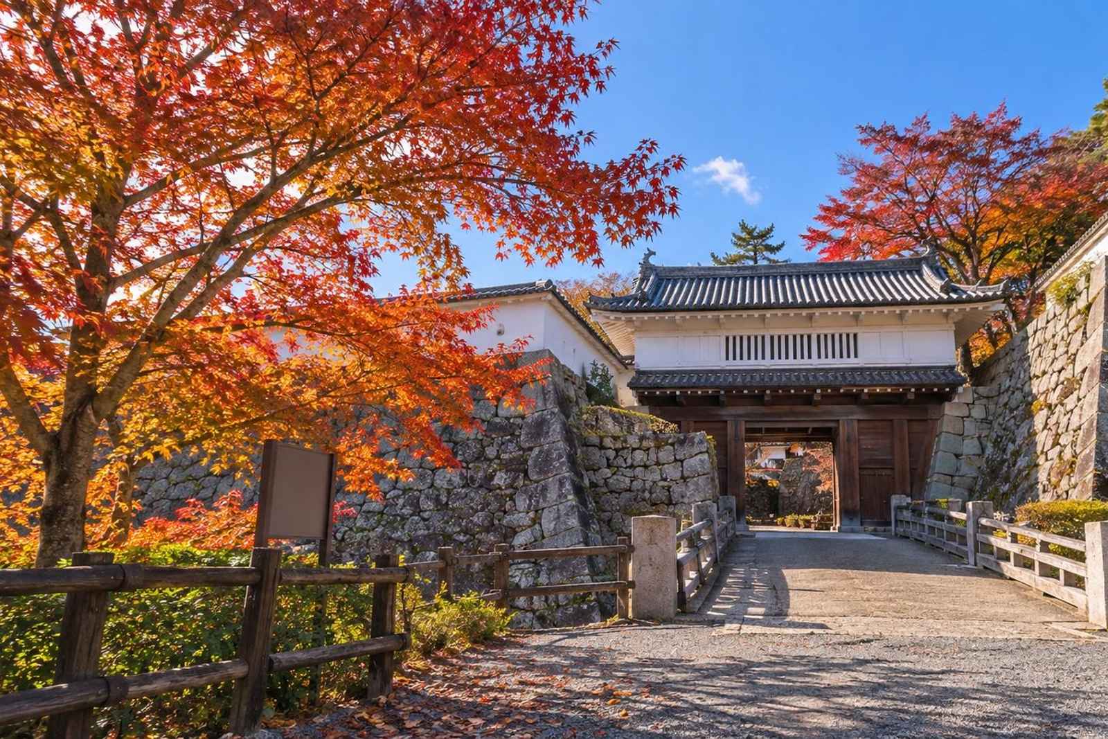 From Tokyo: Nihonmatsu & Mt Adatara Customizable Tour 5