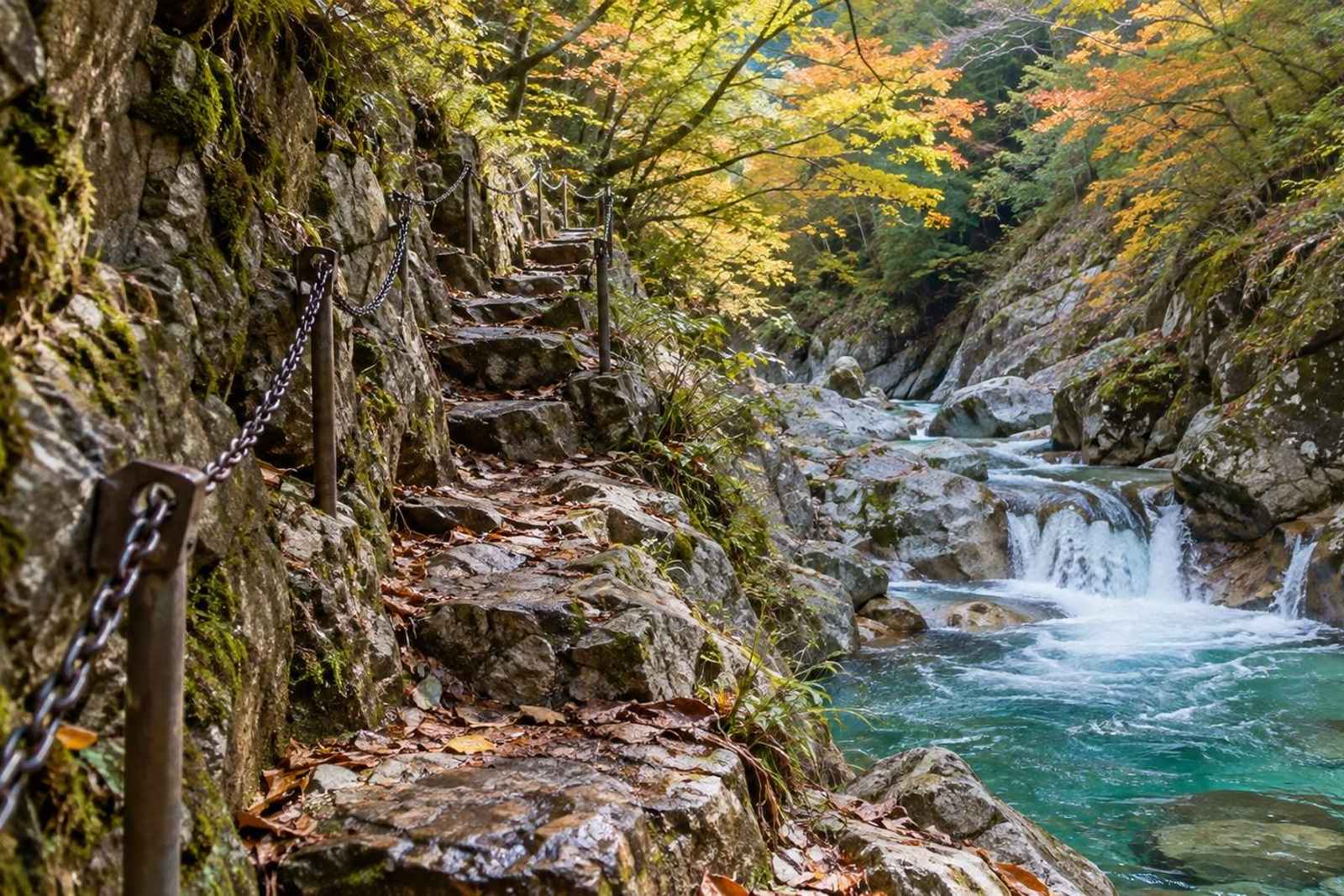 From Tokyo: Nishizawa Gorge Waterfalls Customizable Tour 4
