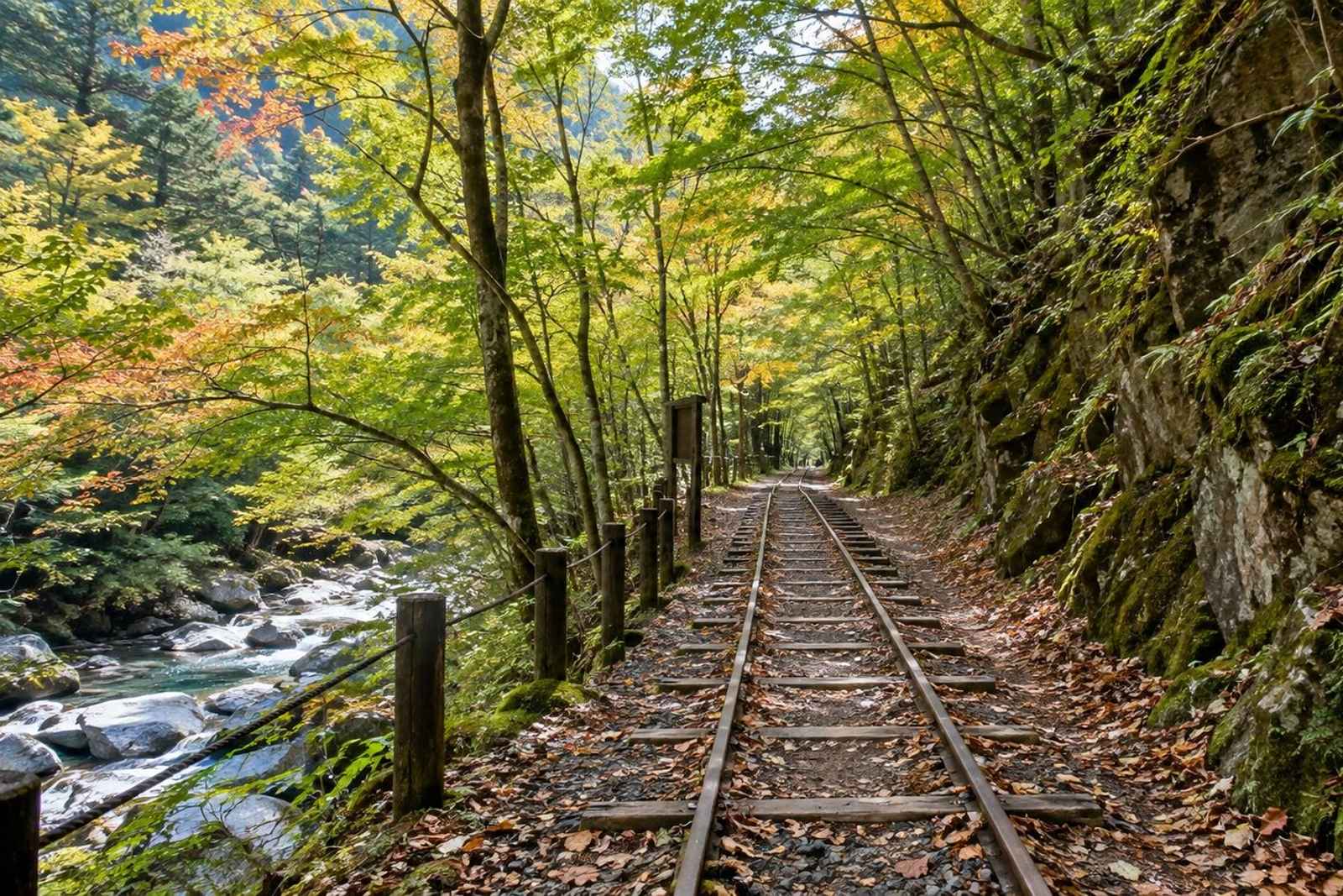 From Tokyo: Nishizawa Gorge Waterfalls Customizable Tour 5