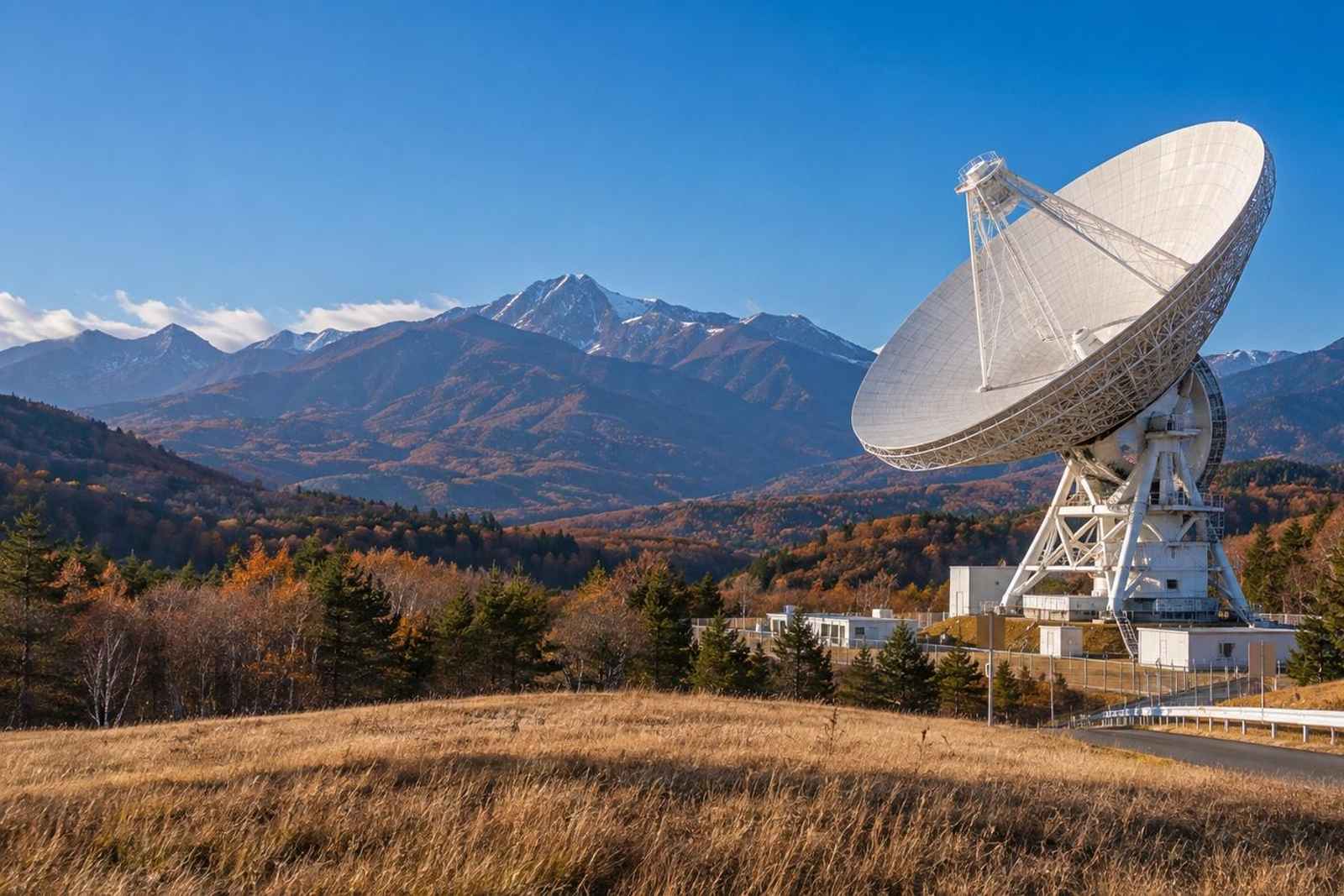 From Tokyo: Nobeyama Observatory Customizable Tour 4