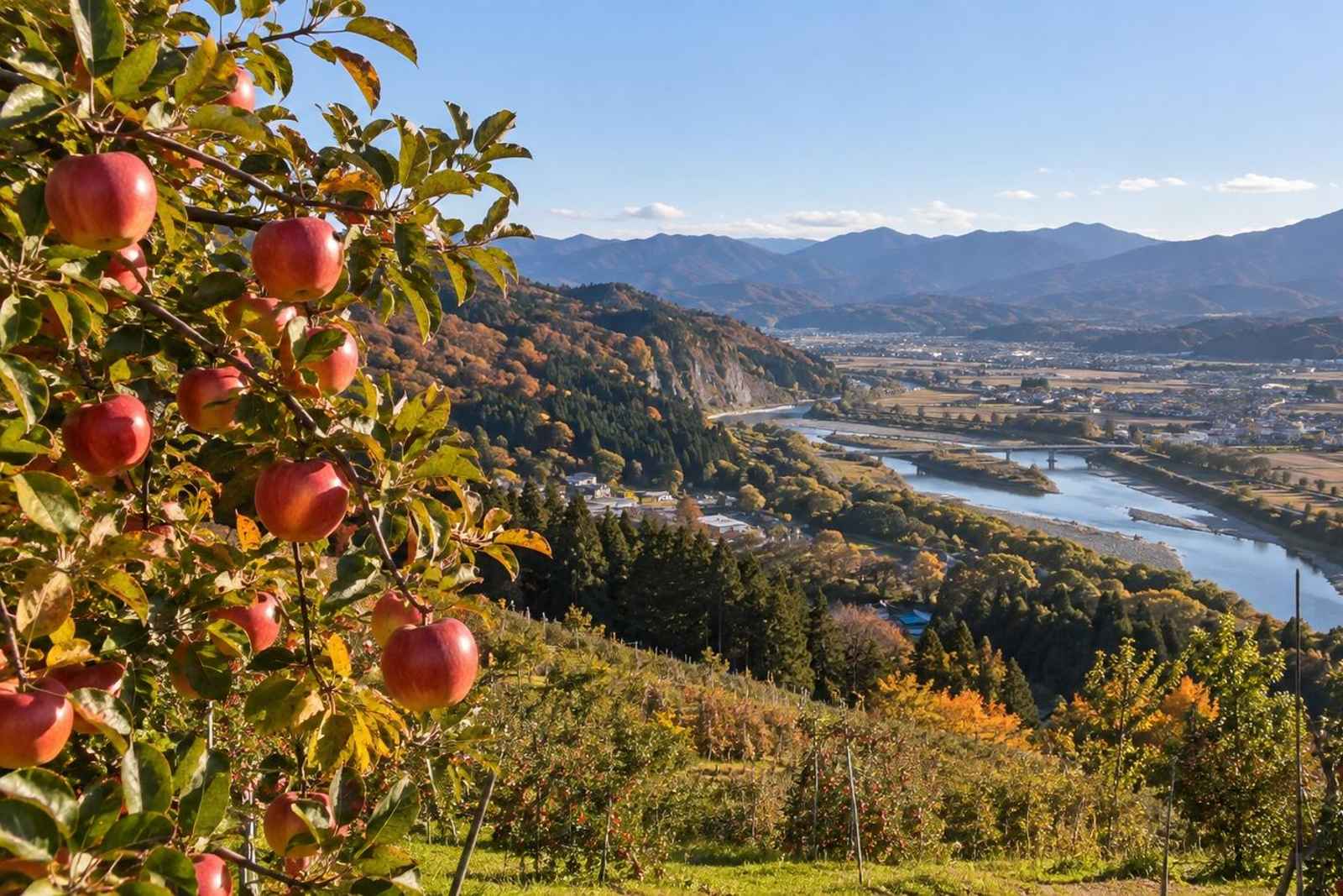 From Tokyo: Numata Apple Harvest Customizable Tour 5