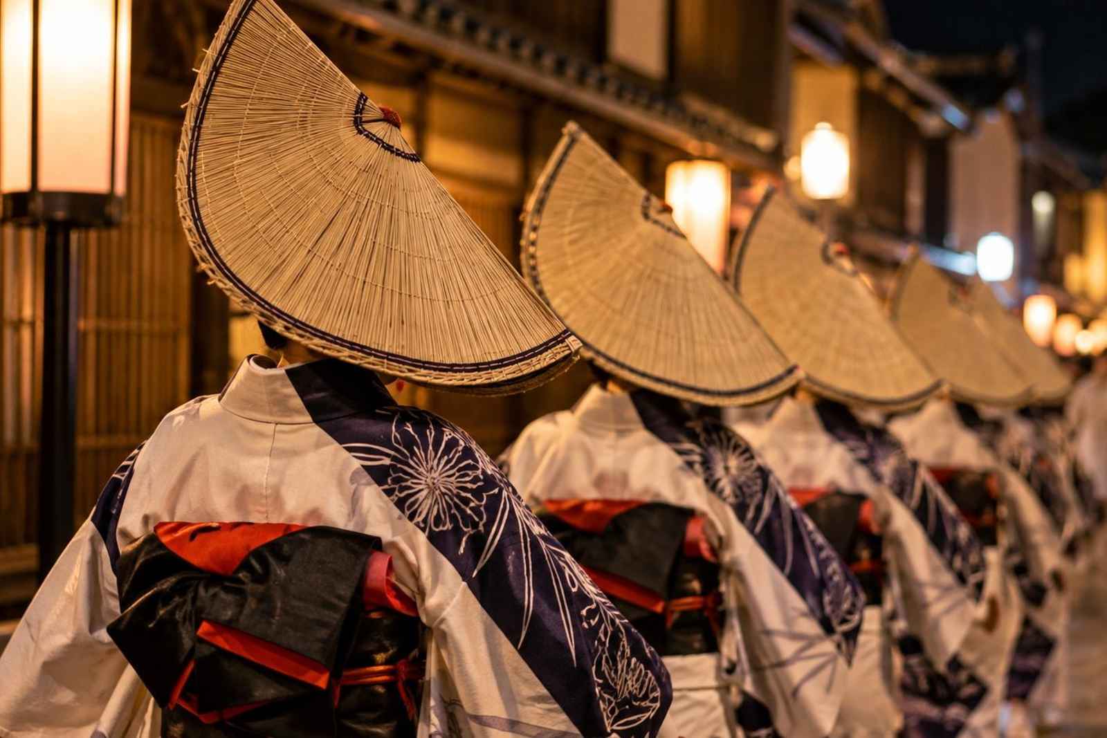 From Tokyo: 2-Day Owara Kaze-no-Bon Customizable Tour 5