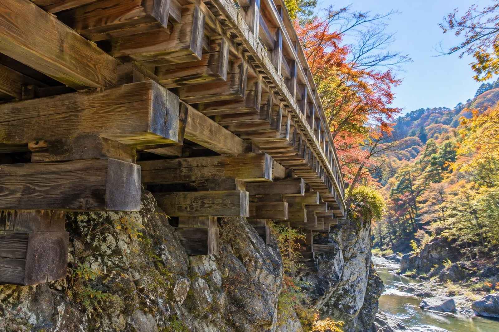 From Tokyo: Saruhashi Monkey Bridge Customizable Tour 4