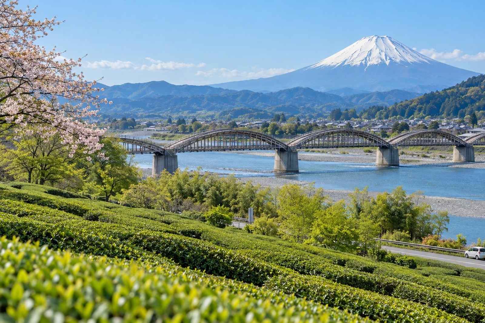 From Tokyo: Horai Bridge & Tea Hills Customizable Tour