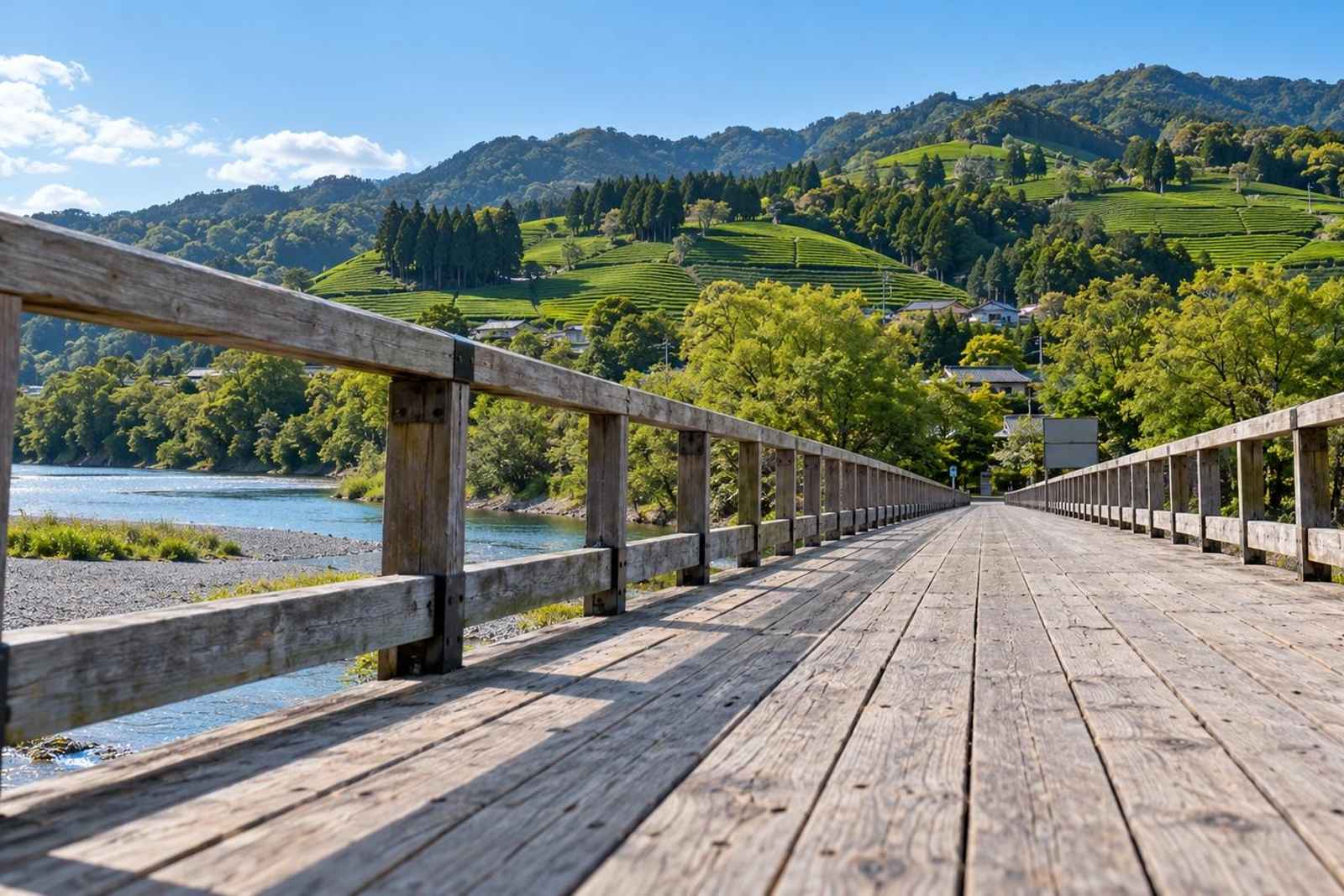From Tokyo: Horai Bridge & Tea Hills Customizable Tour 2