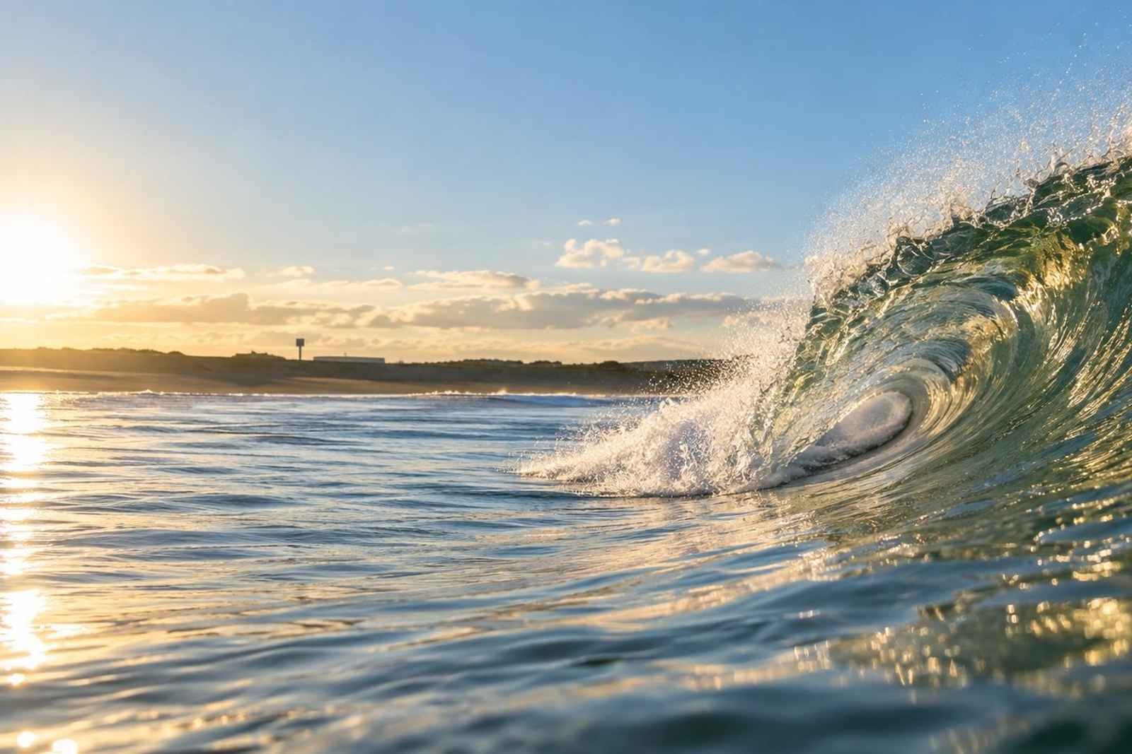 From Tokyo: Ichinomiya Surf Lesson Customizable Tour 4