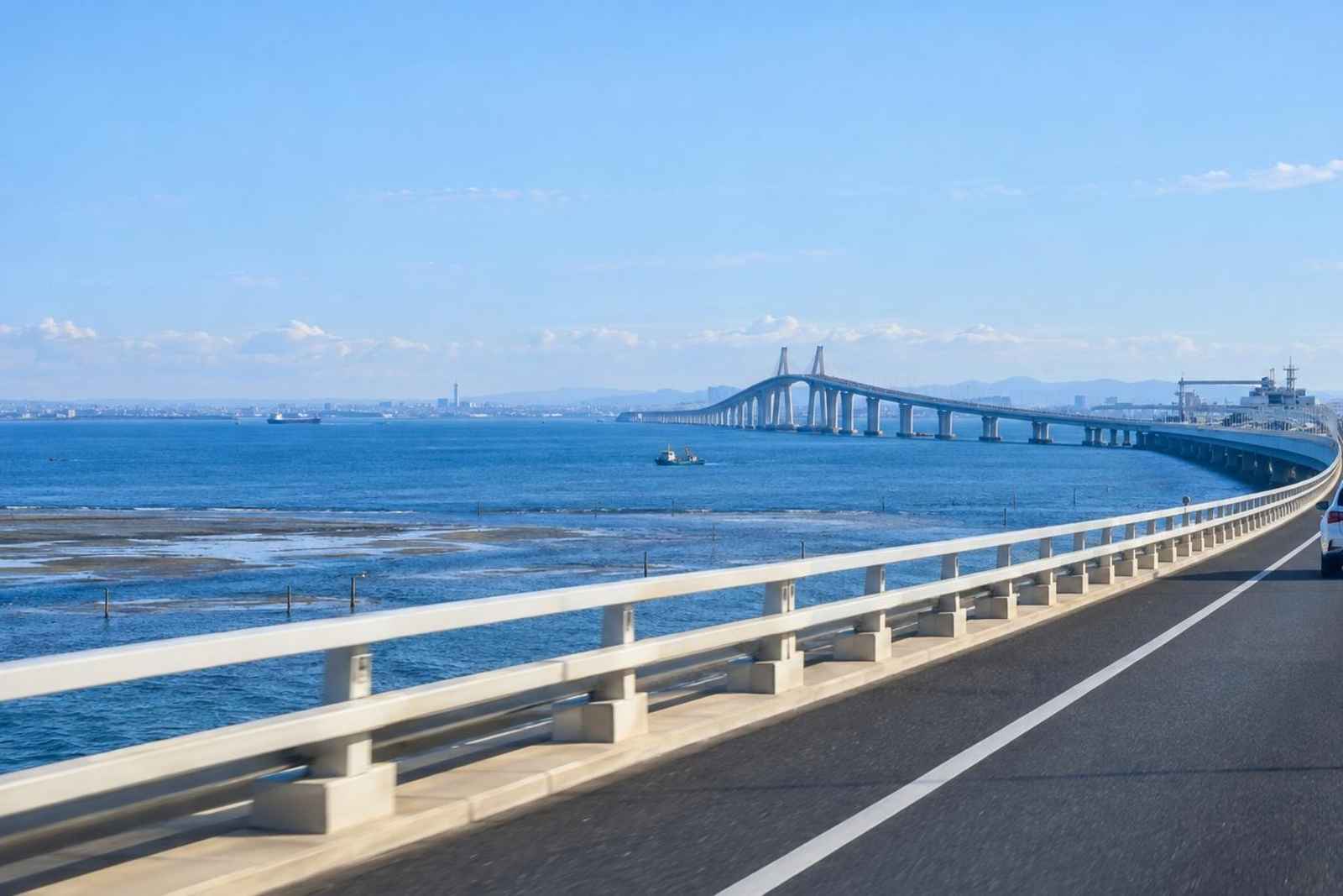 Tokyo Bay: Kisarazu Clam Digging Customizable Tour 4