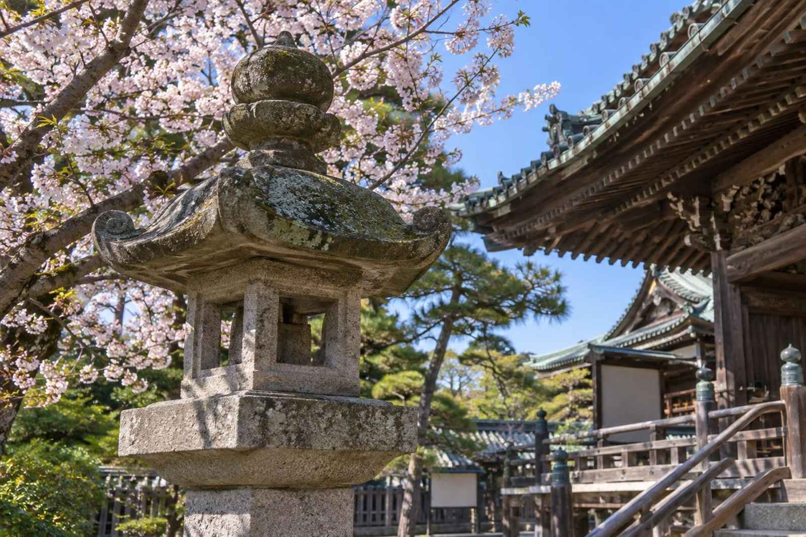 Tokyo: Shibamata Old Riverside Town Customizable Tour 4