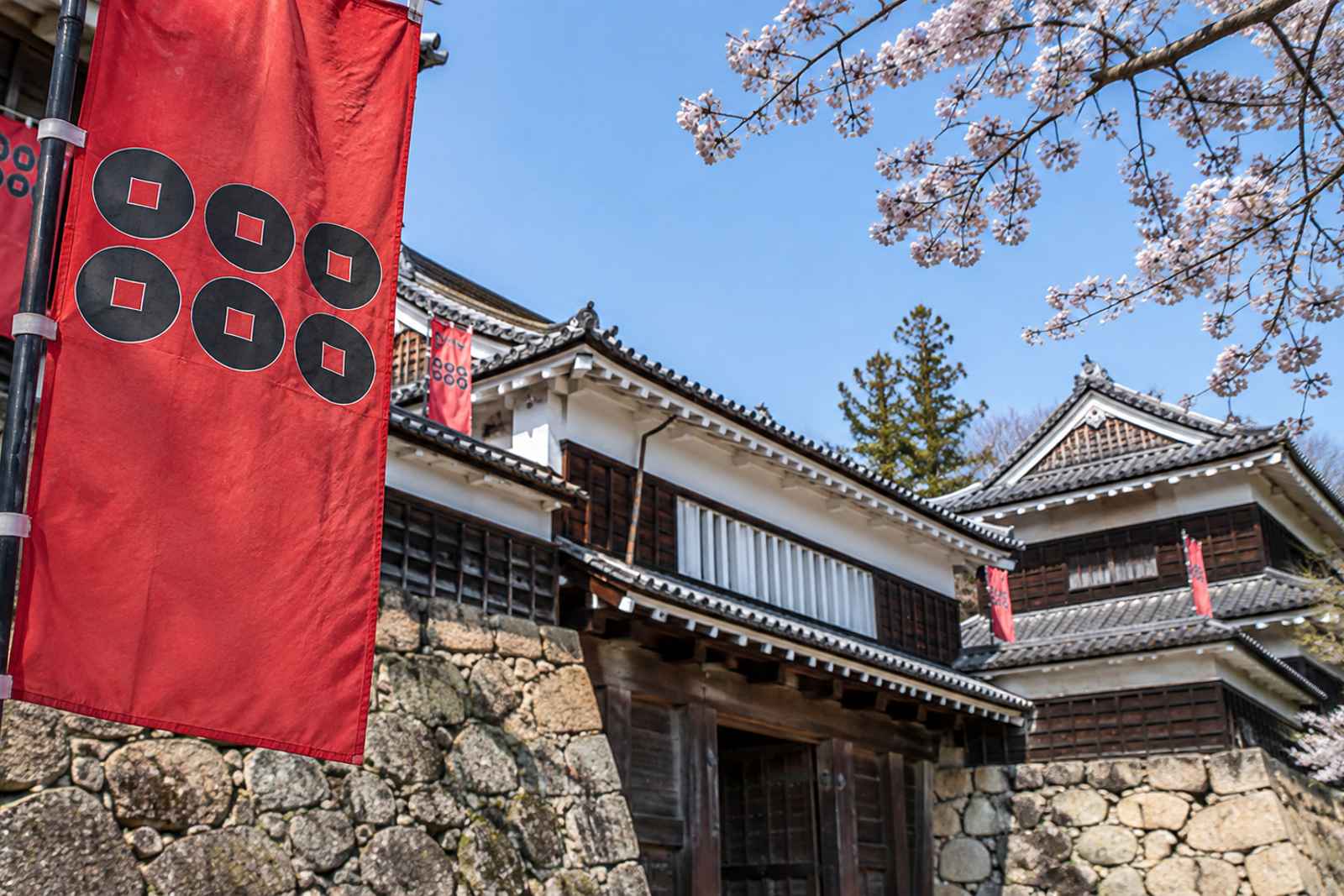 From Tokyo: Ueda Castle, Bessho Onsen & Octagonal Pagoda
