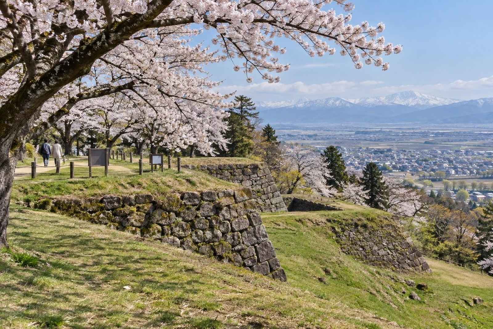 From Tokyo: Kasugayama & Takada Castle Customizable Tour
