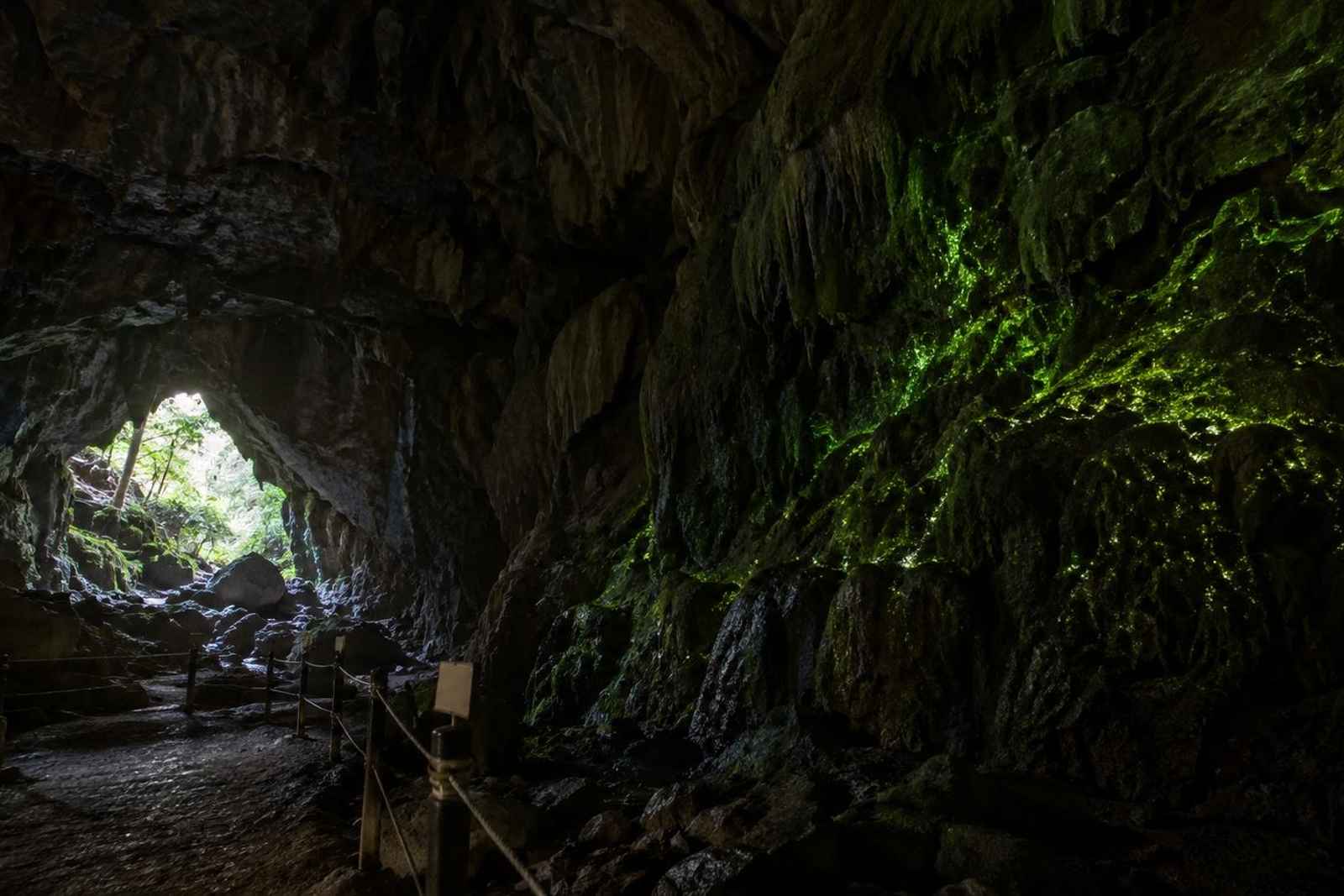From Tokyo: Yoshimi Cave Tombs Customizable Tour 4